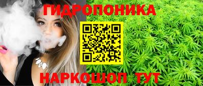 МДПВ Волжск