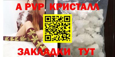 дживик Гай