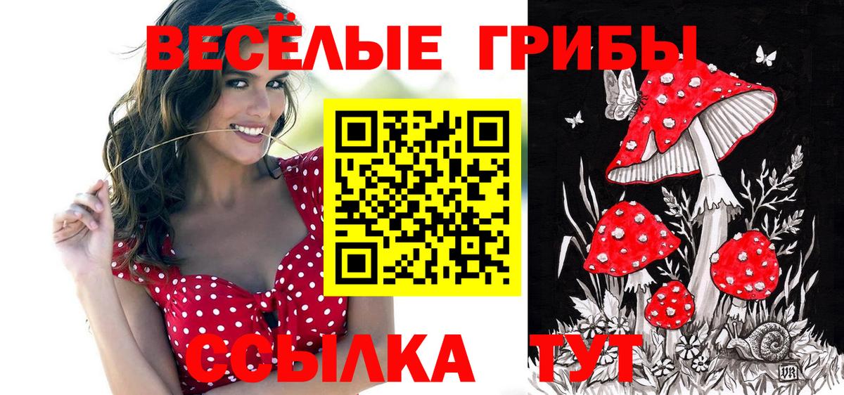 Галлюциногенные грибы ЛСД Вышний Волочёк