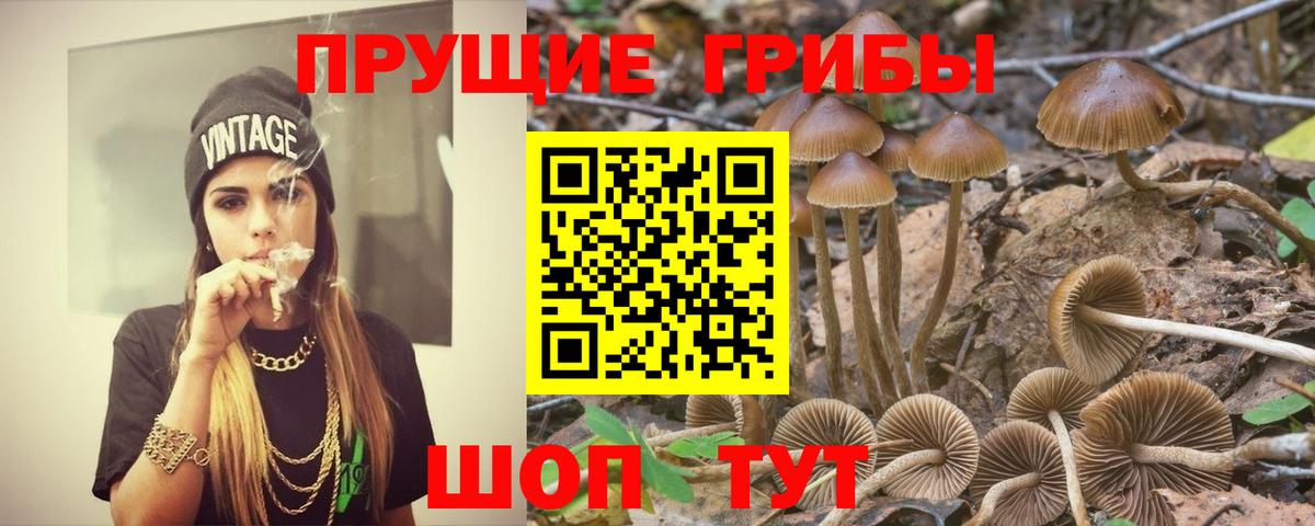 Вышний Волочёк  Галлюциногенные грибы ЛСД  Вход с VPN 