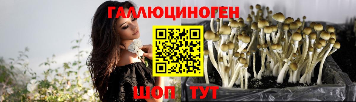 Псилоцибиновые грибы MAGIC MUSHROOMS Вышний Волочёк
